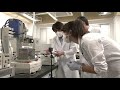 Vegan Wagyu Beef Scientists In Japan 3D Print It