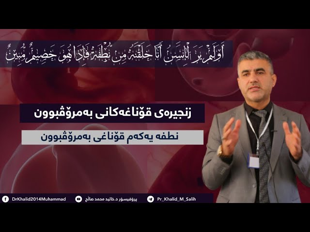 نطفة یەکەم قۆناغی بەمرۆڤبوون