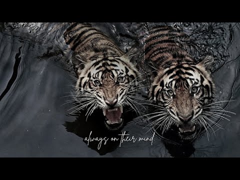 ╭ ⚠️ obsession ༒ love spell — listen once! ╮