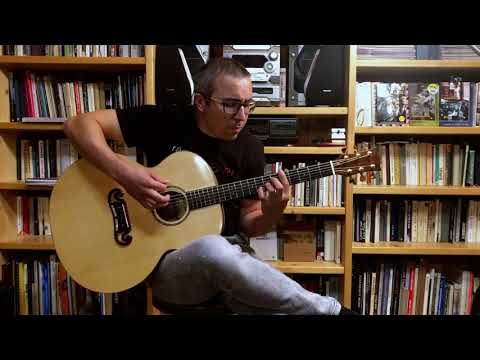 Vlasta Redl: Co když (acoustic guitar cover)