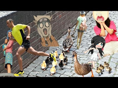 В Дюссельдорфе Гуси распугали всех прохожих в парке. #Реакция. ПРИКОЛЬНОЕ ВИДЕО ЮМОР