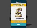 pound sterling - the main kind of money used... video thumbnail