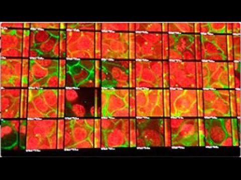 data-verse 1, 2019, Ryoji Ikeda