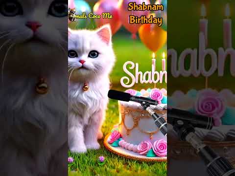 SHABNAM HAPPY BIRTHDAY | HAPPY BIRTHDAY SONG WITH NAMES | Adorable Cute Cat 😺 #cat #happybirthday