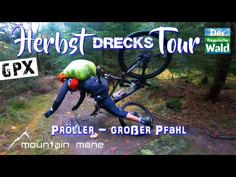 MTB Bayerwald - Pröller / large post