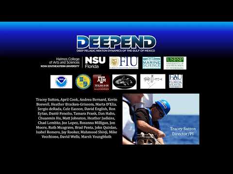 DEEPEND - Better Together Lightning Talk