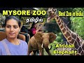 MYSORE ZOO Tour In Tamil Sri Chamarajendra Zoological Gardens Must Visit Place In MYSORE