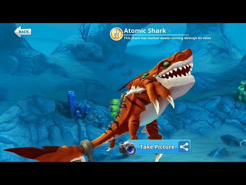 Buy Atomic Shark 540,000 coins