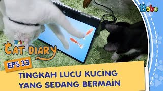 Download lagu Funny Cats - Cute Cat Antics While Playing - Bobo Cat Diary Ep. 33 mp3