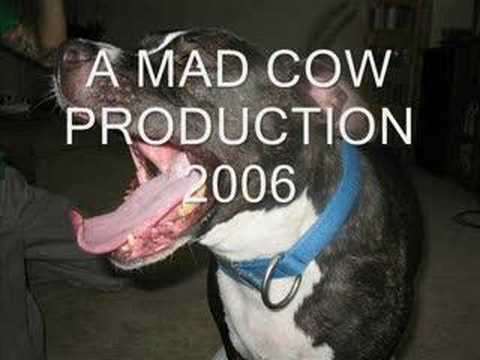 Mad Cow Productions Logo