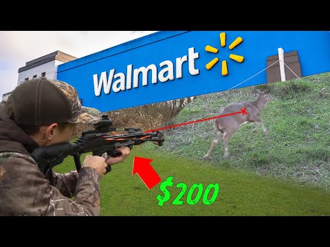 WALMART CROSSBOW HUNTING CHALLENGE -GONE WRONG- (I can't believe that happened...)