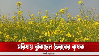 সরিষায় ঝুঁকছেন ভৈরবের কৃষক- Jago News (ডিসেম্বর ২০২২)