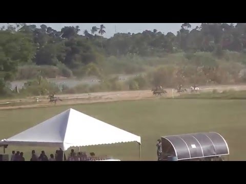 Akhir Kuda PADI A - 08 April 2016@Trek Tendong