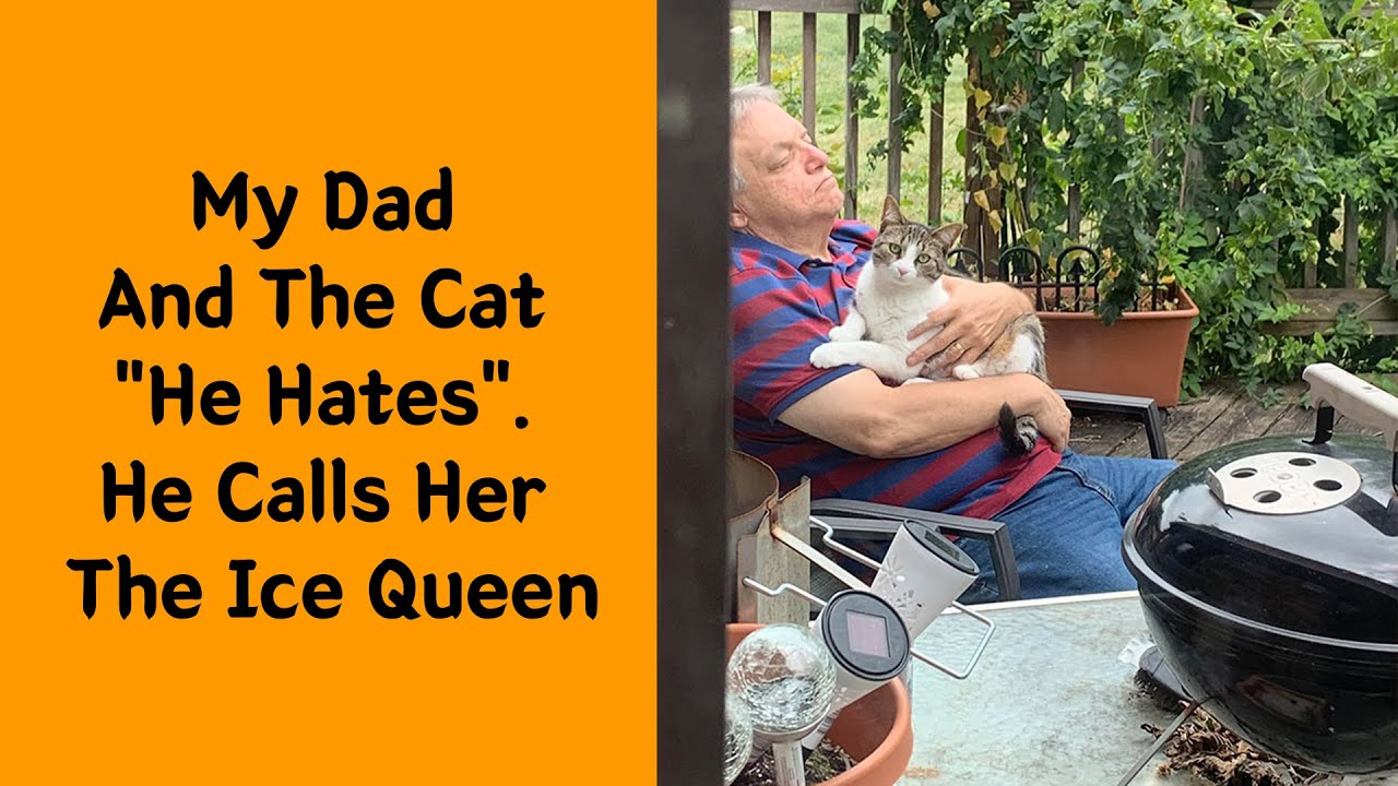 50 Dads Who Didn't Want The Damn Pet In Their Lives 2/2