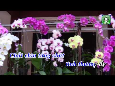 Thể hiện bởi Hoàng Quân