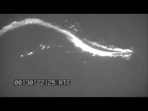 WW2 Gun Camera: Operation Hailstone Part 1