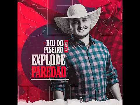 BIU DO PISEIRO feat BR da Tijuca No beco ou nacazinha