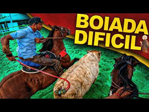 🔥 NOSSA CLASSIFICAÇÃO 😱 - MAIOR VAQUEJADA DE MINAS -