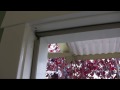 Climate Watch Home Energy Audit KQED QUEST