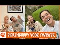 Dé oplossing tegen uithuisplaatsing van huisdieren! | DierenpraatTV