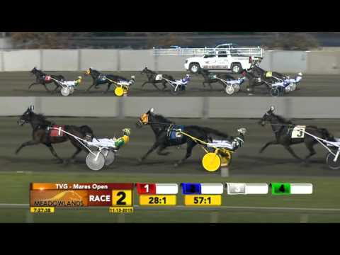 Meadowlands November 13, 2015 - Race 2 - Shake It Cerry