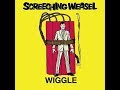 Screeching Weasel - Crying In My Beer (Guitar Cover)