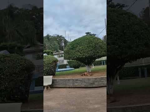 Centro de patrocínio do Muriae MG