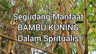 Download lagu Manfaat Bambu Kuning Dalam Spiritual mp3 Download lagu Manfaat Bambu Kuning Dalam Spiritual mp3