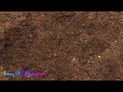 Relaxare ghidata prin Hipnoza Ericksoniana