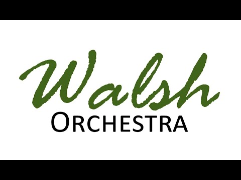 Walsh MS Orchestra