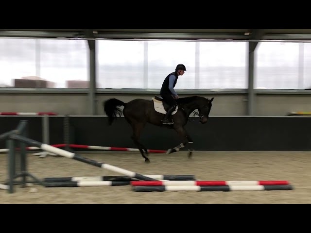 UNDER SADDLE VIDEO