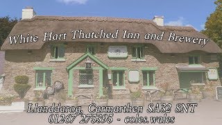 White Hart Thatched Inn and Brewery - Public House