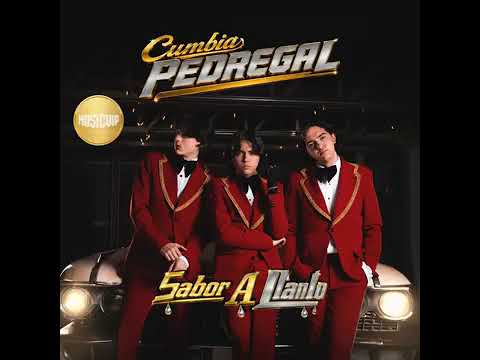 Pedregaltiktok