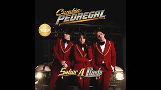  Cumbia Pedregal Se Que Te Amo 