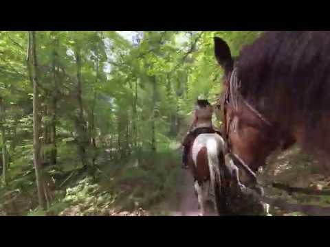 Auf Traumpfaden  unterwegs in Reit im Winkl.