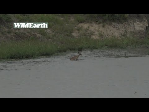 Better luck next time!