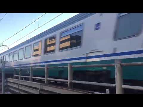 Transito della bellissima E444