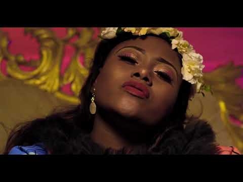 DA BLOOD (Official video) | THE GRATITUDE