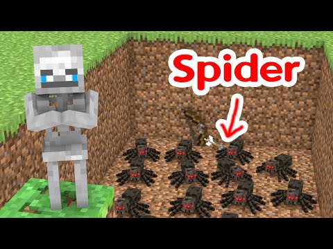Skeleton Boy Fight Spiders - Minecraft Animation