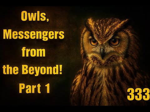 333 Spiritual Meaning of Owls: Mystical Messengers from the Beyond! 2025