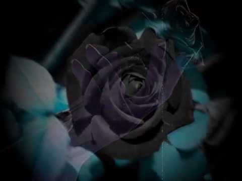 PAVOL HAMMEL A PRÚDY - Čierna ruža (Zvonky, zvoňte) 1969.avi