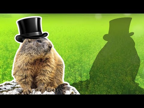 Groundhogs for Kids | Groundhog Day | Wild Animals