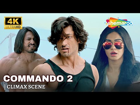 Commando 2 : The Black Money Trail