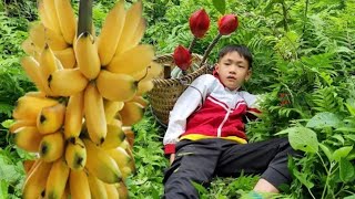 VIDEO FULL: 12 Year Old Orphan Boy - Harvesting Agricultural Goes to market sell - Cooking