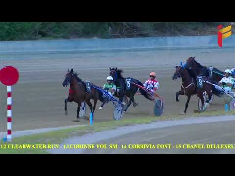 VI Corsa del 28 settembre 2022 - 4 Anni Hand. Invito - Mt. 2000/2020 TQQ