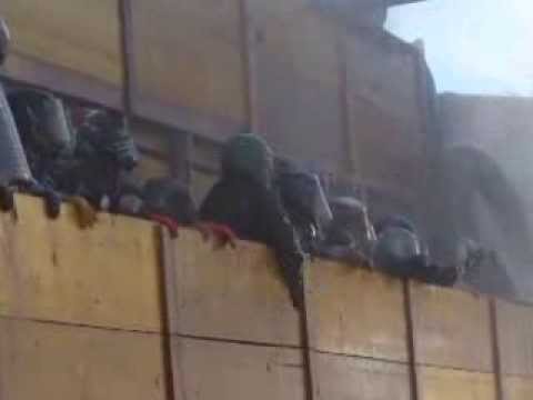 BATTAGLIA delle arance e dell'acqua GATTINARA 2014