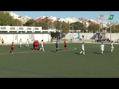 CCFTV: Resumen LN CCF - Dos Hermanas