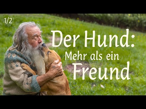Wie Mensch und Hund Freunde wurden (Teil 1)