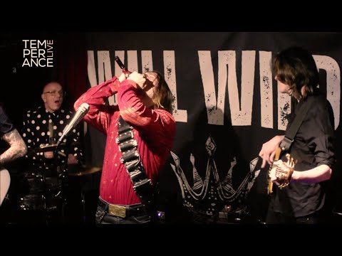 Will Wilde - I Believe I'm In Love (Fabulous Thunderbirds) Live at Temperance