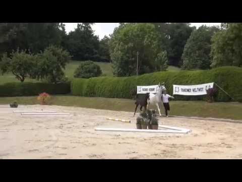 Graf Titulus v. Tambour www.elmarshausen.de